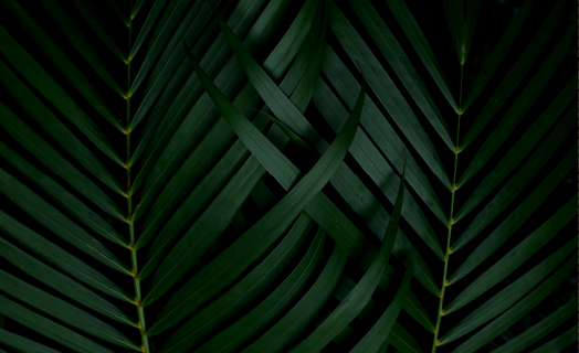 https://hata.in.ua/wp-content/uploads/2020/03/inner_01_02.png